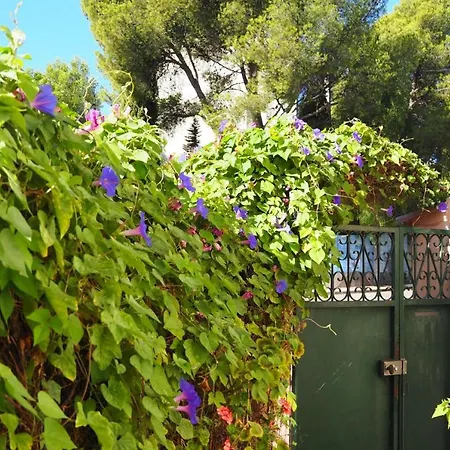 Apartment Holiday Flat - Caz01507-p *